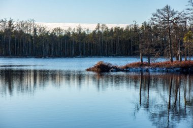 kırsal bir gölün sakin su kıyı ağaçlarının yansımaları