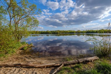 gökyüzünde mavi su ve beyaz bulutlar ile göl tarafından güneşli yaz günü. yansımaları ve yeşil ağaç yaprakları