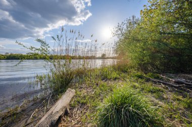gökyüzünde mavi su ve beyaz bulutlar ile göl tarafından güneşli yaz günü. yansımaları ve yeşil ağaç yaprakları