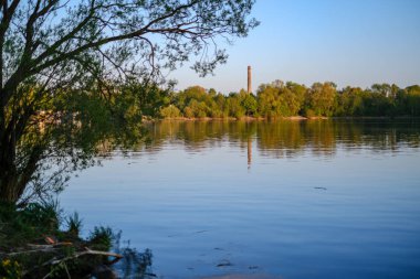 ağaç yaprakları ve dalları altında nehir tarafından güzel gün batımı. sakin su, bulutlar ve su yansımaları ile mavi gökyüzü. akşam yüzen ördekler