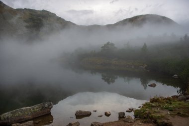 kırsal bir gölün sakin su kıyı ağaçlarının yansımaları