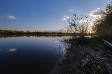 ağaç yaprakları ve dalları altında nehir tarafından güzel gün batımı. sakin su, bulutlar ve su yansımaları ile mavi gökyüzü. akşam yüzen ördekler