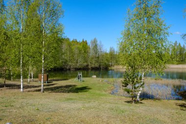 Güneşli yaz gününde mavi göl kıyısında dinlenme kampı. Ağaçlı su gövdesi, karahindiba ve sahilde tekneleri olan yeşil çayır.