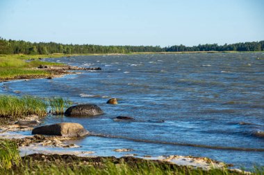düşük gelgit ile yaz aylarında kayalar ve çim ile boş deniz plajı. Baltık denizi, Letonya kıyısı