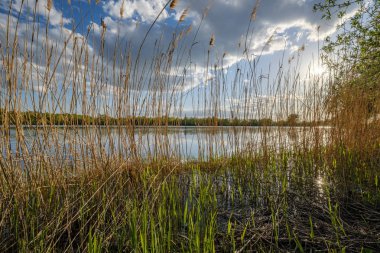 gökyüzünde mavi su ve beyaz bulutlar ile göl tarafından güneşli yaz günü. yansımaları ve yeşil ağaç yaprakları