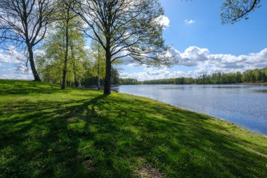 Güneşli yaz gününde mavi göl kıyısında dinlenme kampı. Ağaçlı su gövdesi, karahindiba ve sahilde tekneleri olan yeşil çayır.