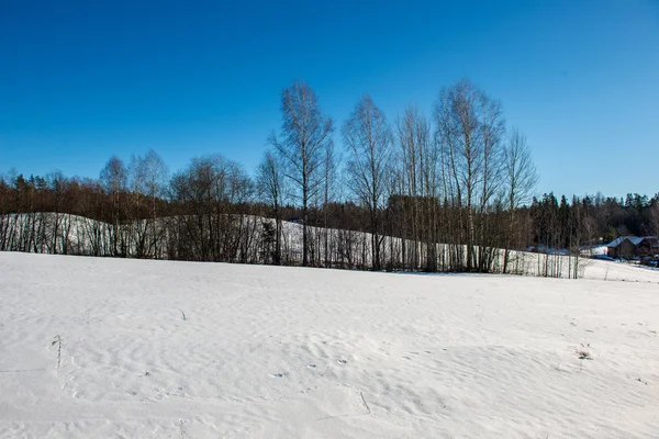 Campos Florestas Cobertas Neve Geada Inverno Paisagem Rural Vazia — Fotografia de Stock