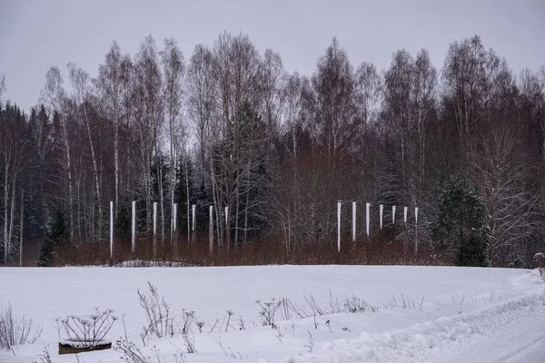 Campi Foreste Coperte Neve Nel Gelo Invernale Paesaggio Campagna Vuoto — Foto Stock