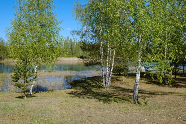 recreation camping area by the blue lake in sunny summer day on the shore of water body with trees, green meadow with dandelions and boats on the shore