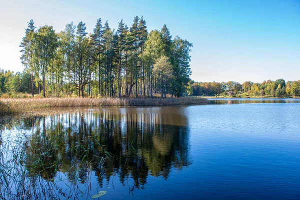 Spiegelungen Von Uferbäumen Ruhigen Wasser Eines Sees Der Landschaft — Stockfoto