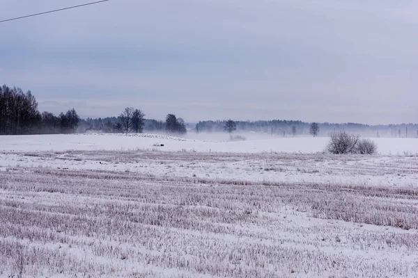 Campos Florestas Cobertas Neve Geada Inverno Paisagem Rural Vazia — Fotografia de Stock