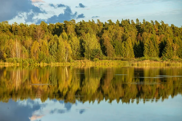Красивый Закат Озера Лугом Зеленой Травы Белыми Облаками Голубом Небе — стоковое фото