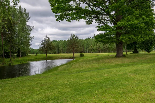 Reflets Arbres Rivage Dans Eau Calme Lac Campagne — Photo