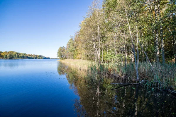 시골의 호수의 잔잔한 나무의 — 스톡 사진