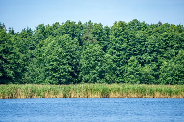 Reflets Arbres Rivage Dans Eau Calme Lac Campagne — Photo