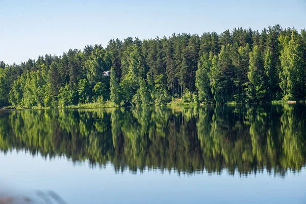 Reflektioner Strand Träd Det Lugna Vattnet Sjö Landsbygden — Stockfoto