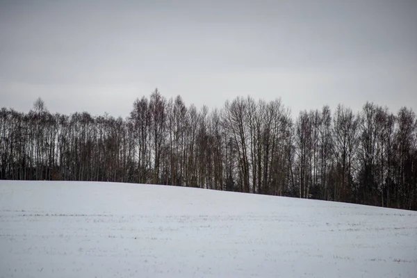 冬の霜で雪に覆われた野原や森林 空っぽの田舎の風景 — ストック写真