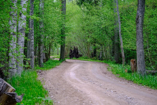 Yanlarda Yeşil Yaprakları Ile Ülke Yaz Aylarında Tozlu Çakıl Yol — Stok fotoğraf