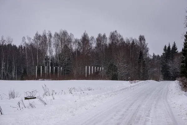 Campi Foreste Coperte Neve Nel Gelo Invernale Paesaggio Campagna Vuoto — Foto Stock