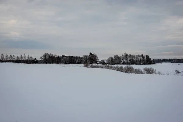 Snötäckta Fält Och Skogar Vinter Frost Tomt Landskaps Landskap — Stockfoto