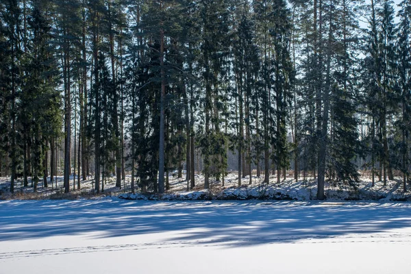 Velden Bossen Bedekt Met Sneeuw Winter Vorst Leeg Landschap Landschap — Stockfoto