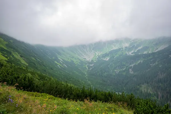 Sentiers Randonnée Slovaquie Été Pluvieux Roches Feuillage Vert Arbres — Photo