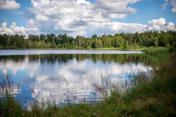 Jezioro Lecie Łąkami Kwiatowych Nad Brzegiem Spokojną Wodą — Zdjęcie stockowe