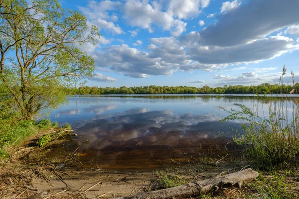 Soleado Día Verano Junto Lago Con Agua Azul Nubes Blancas — Foto de Stock