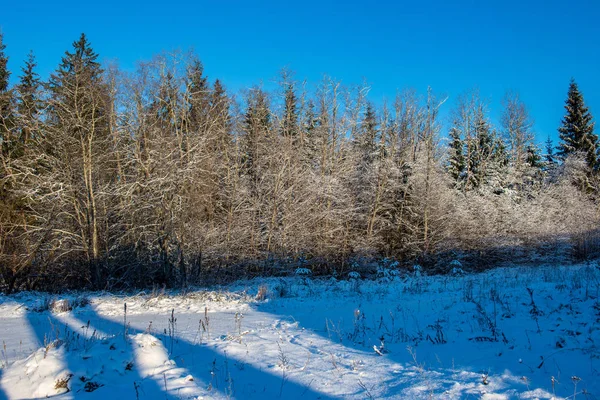 Campos Florestas Cobertas Neve Geada Inverno Paisagem Rural Vazia — Fotografia de Stock