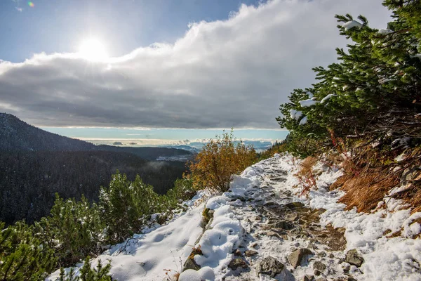 Rutas Turísticas Cubiertas Nieve Para Hacer Senderismo Las Montañas Eslovacas — Foto de Stock