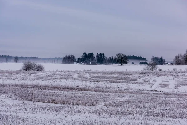 Campos Florestas Cobertas Neve Geada Inverno Paisagem Rural Vazia — Fotografia de Stock