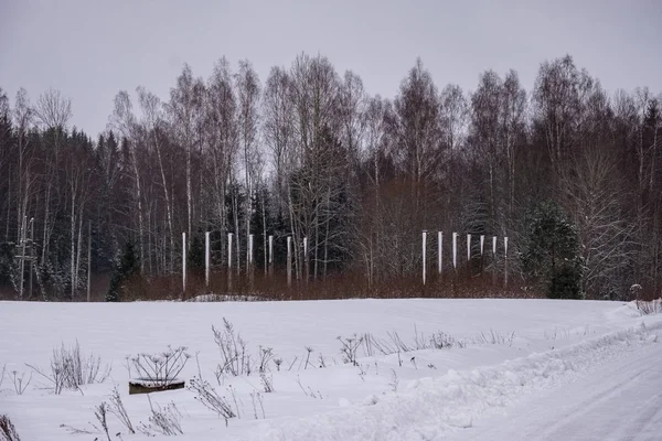 Pole Lesy Pokryté Sněhem Zimním Mrazu Prázdná Krajina Venkově — Stock fotografie