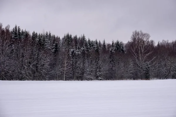 Campi Foreste Coperte Neve Nel Gelo Invernale Paesaggio Campagna Vuoto — Foto Stock