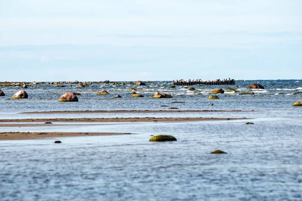 Pusta Plaża Morska Kamieniami Trawą Lecie Niskim Odpływu Morze Bałtyckie — Zdjęcie stockowe