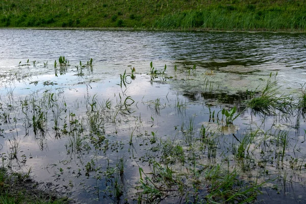 Flaque Boue Eau Sale Dans Pays — Photo