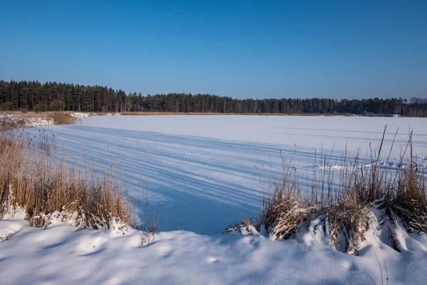 Campos Bosques Cubiertos Nieve Las Heladas Invierno Paisaje Campo Vacío —  Fotos de Stock