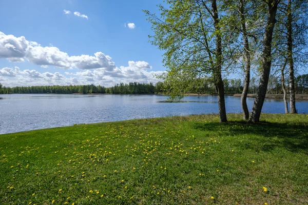 recreation camping area by the blue lake in sunny summer day on the shore of water body with trees, green meadow with dandelions and boats on the shore