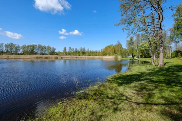 recreation camping area by the blue lake in sunny summer day on the shore of water body with trees, green meadow with dandelions and boats on the shore