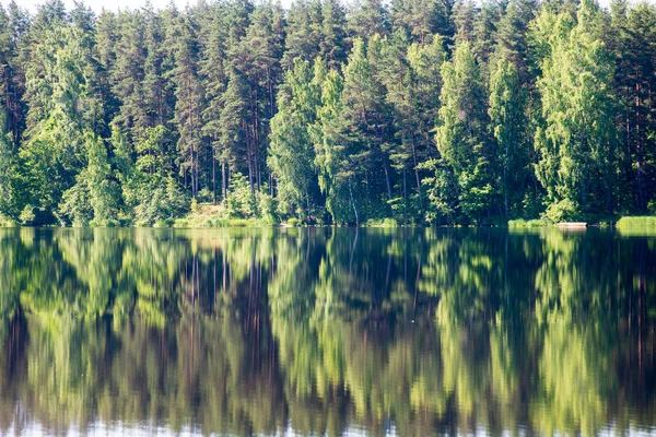 Reflejos Árboles Orilla Agua Tranquila Lago Campo — Foto de Stock