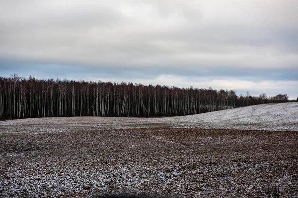 冬季霜冻时 田野和森林被雪覆盖 空荡荡的乡村景观 — 图库照片