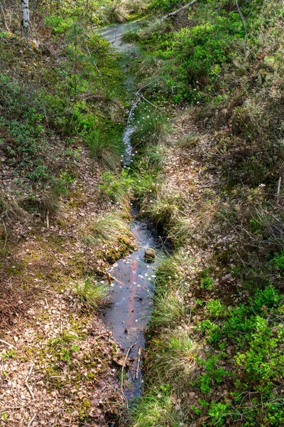 Kaluža Bláta Špinavé Vody Zemi — Stock fotografie