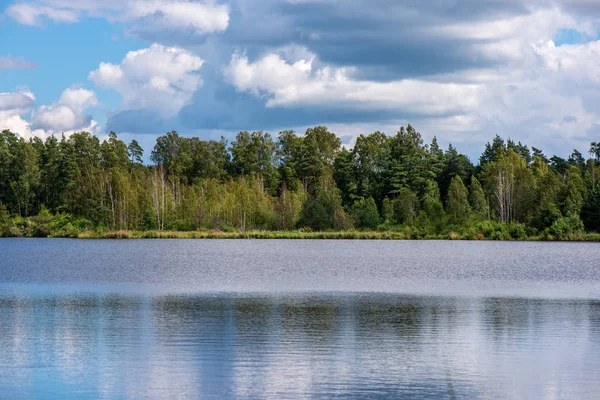 Деревенское Озеро Летом Цветущими Лугами Берегу Спокойной Водой — стоковое фото