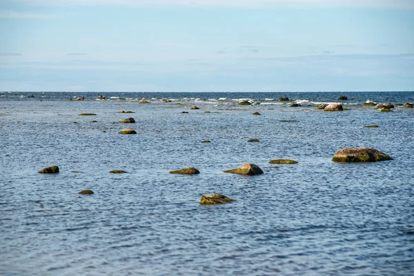 Lege Zee Strand Met Rotsen Gras Zomer Met Laag Tij — Stockfoto