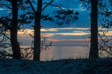 kırsal bir gölün sakin su kıyı ağaçlarının yansımaları