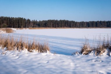 kışın karla kaplı tarla lar ve ormanlar. boş kırsal manzara
