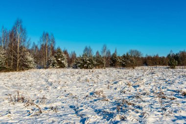kışın karla kaplı tarla lar ve ormanlar. boş kırsal manzara