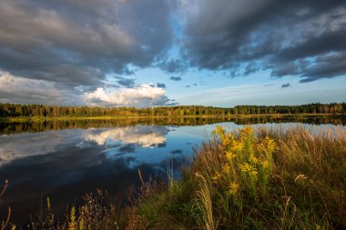 yansımaları ile mavi gökyüzünde yeşil çim çayır ve beyaz bulutlar ile göl kenarında güzel gün batımı