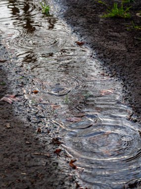 ülkede çamur ve kirli su birikintisi