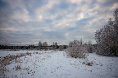 kışın karla kaplı tarla lar ve ormanlar. boş kırsal manzara