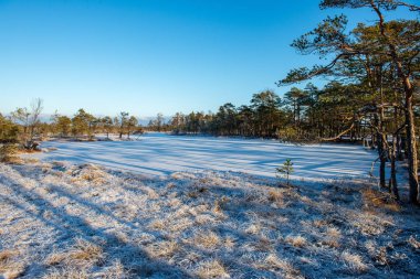 kışın karla kaplı tarla lar ve ormanlar. boş kırsal manzara